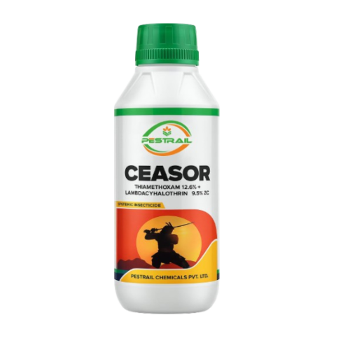 CEASOR